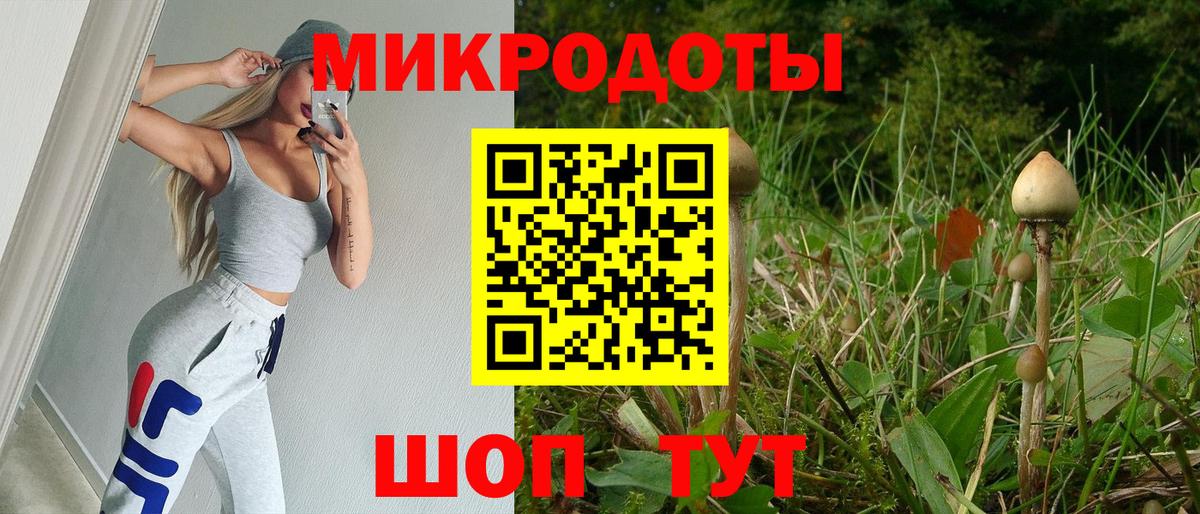 Галлюциногенные грибы Psilocybe  Вход с VPN  Шарыпово  Псилоцибиновые грибы MAGIC MUSHROOMS 